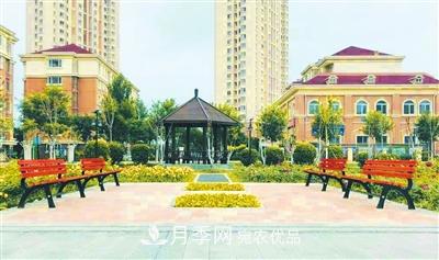 天津市西青区“赤龙月季园”建成开放(图3)