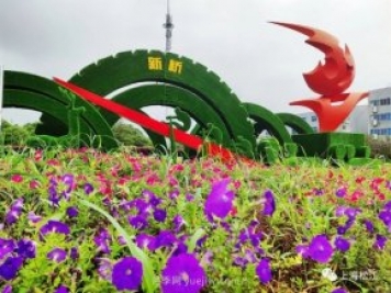 上海松江这里的花坛、花境“上新”啦!特色景观升级!