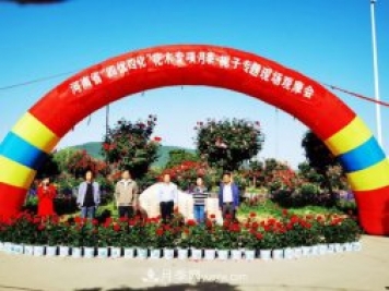 河南省四优四化项目 助推南阳月季、栀子产业发展