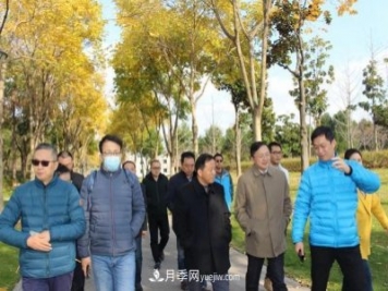 提升城市园林绿化，苏州向上海学什么？